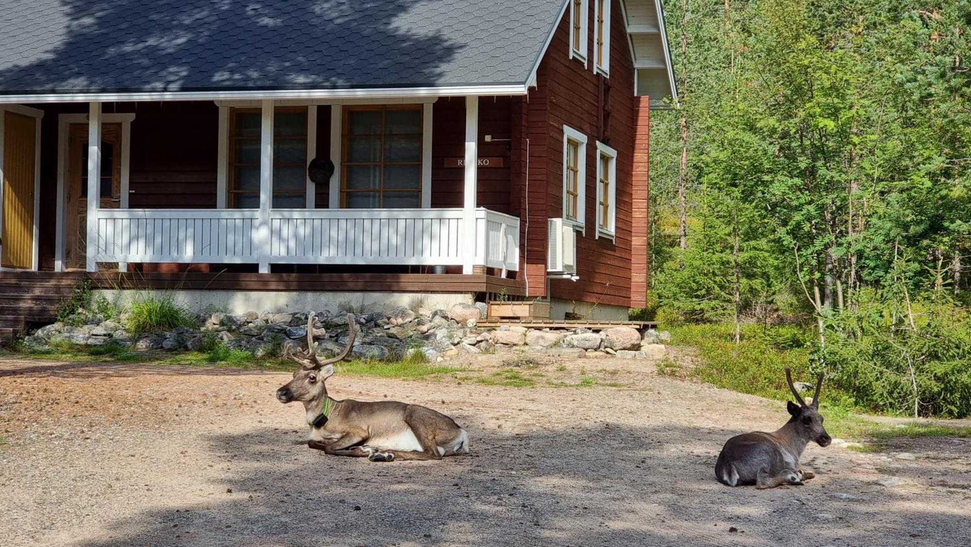 Riekko Chalet Рованиеми Екстериор снимка
