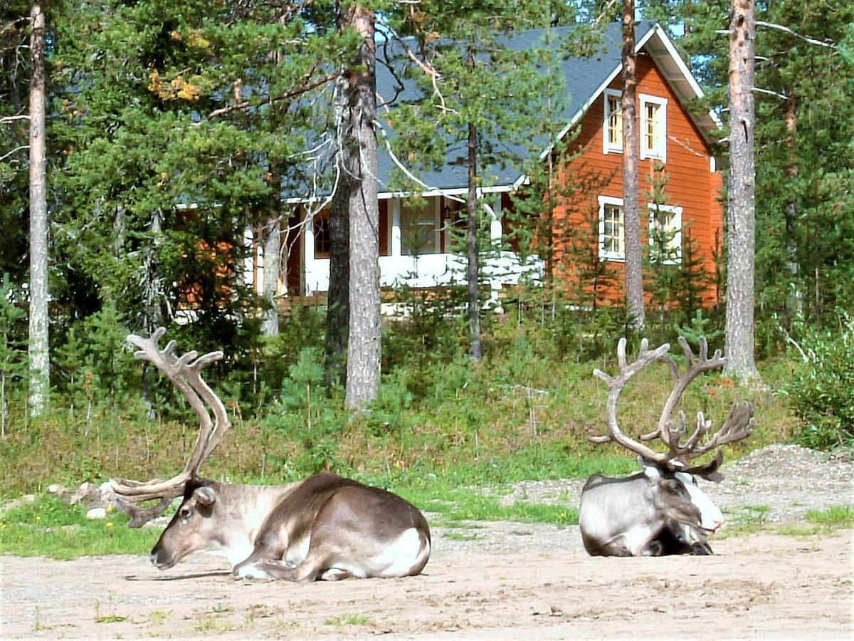 Riekko Chalet Рованиеми Екстериор снимка